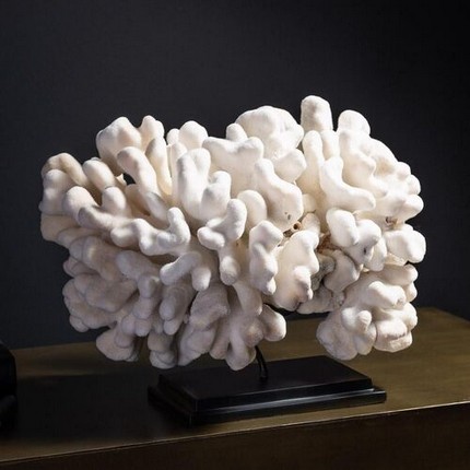 ildeval-corals- 11.jpg