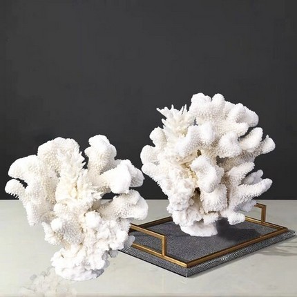 ildeval-corals- 4.jpg
